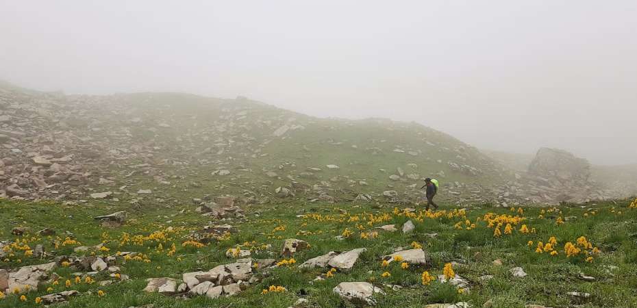 Bhirgu lake Trek