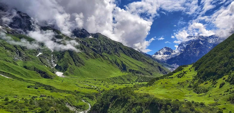 Valley of Flower Trek