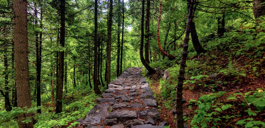 Valley of Flower Trek