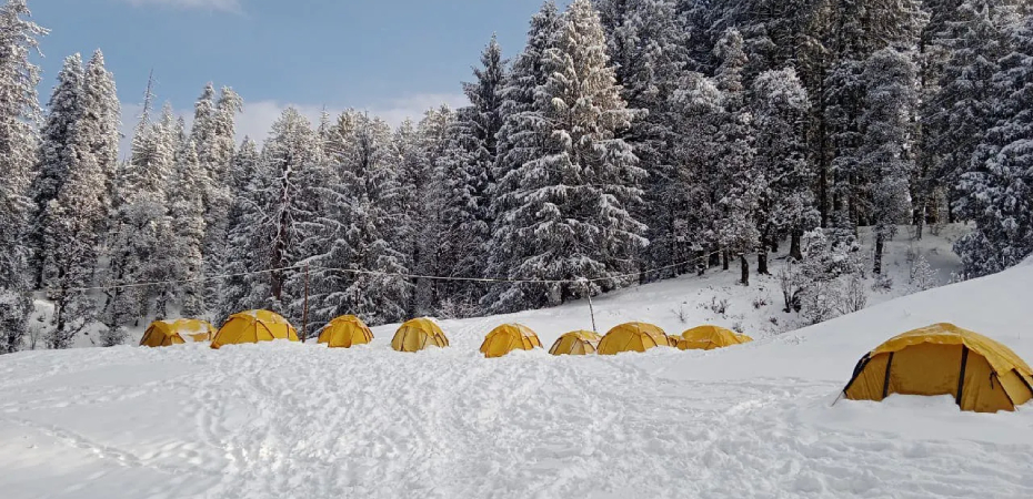 Kedarkantha Trek