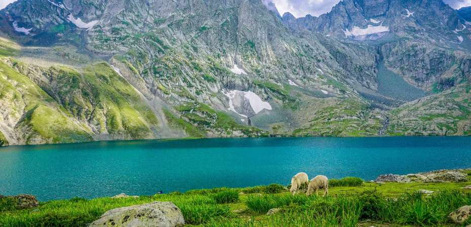 Kashmir Great Lakes Trek